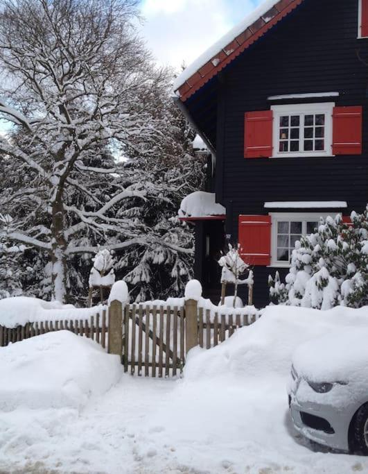 Villa Herzog - Ferienhaus für 6 Personen in Braunlage, Harz Exterior foto