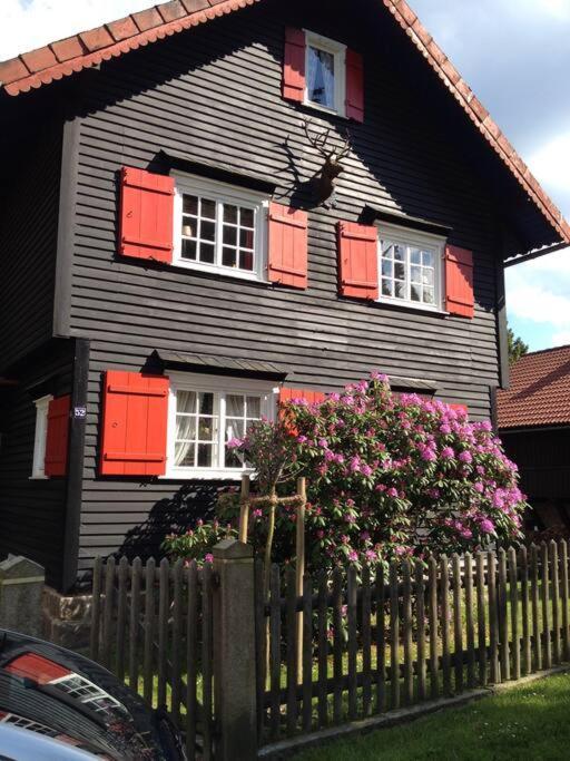 Villa Herzog - Ferienhaus für 6 Personen in Braunlage, Harz Exterior foto